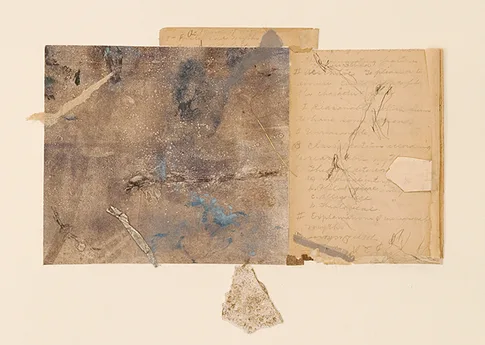 Dragonfly – mixed media collage,, 2007