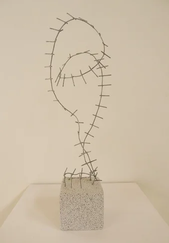 Nopalito – wire, 0