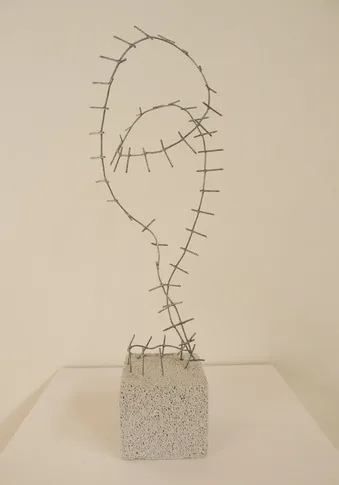 Nopalito – wire, 0