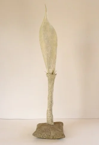 Semilla – cement, earth, sand, recycled paper, paint, 0