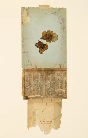 Verdure – mixed media collage,, 2005