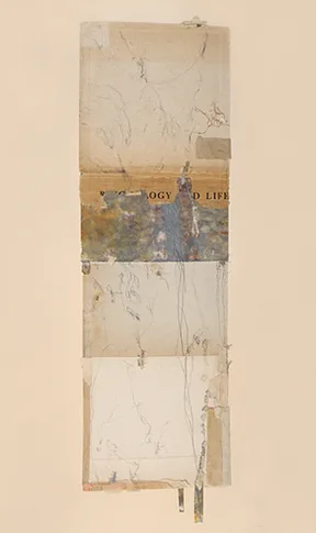 We Are All Connected – mixed media collage, 2007-2009, 0