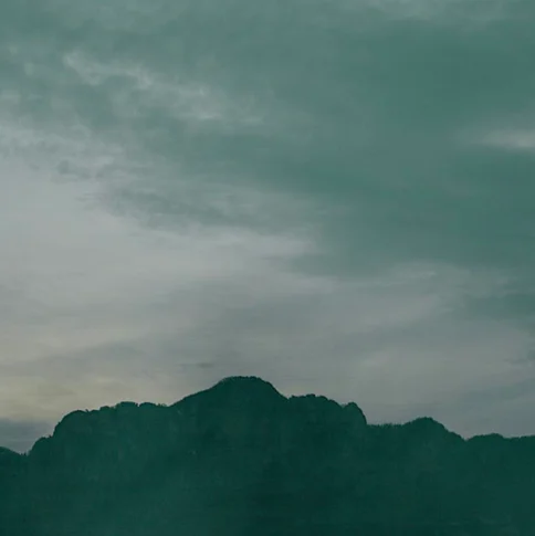 Within Reach – Photography, 0